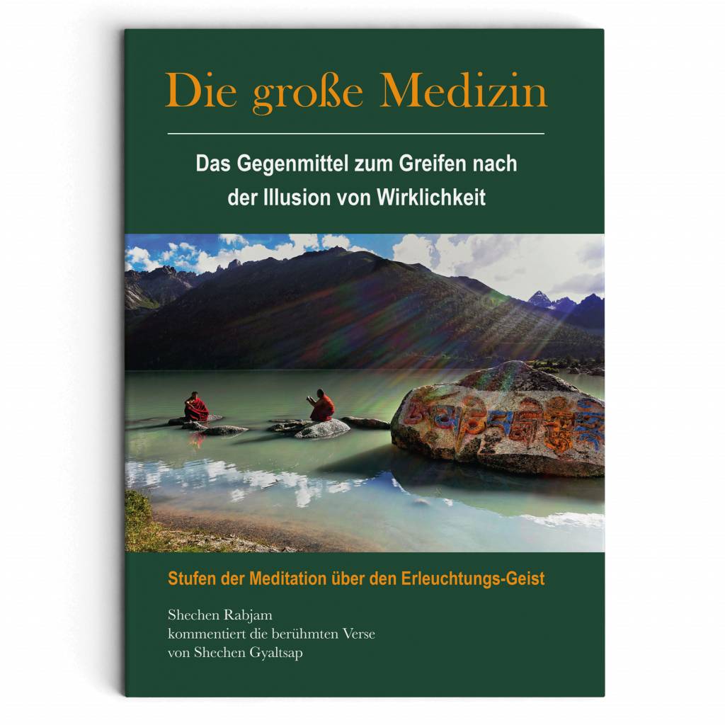 Die große Medizin. Das Gegenmittel zum Greifen nach der Illusion von Wirklichkeit